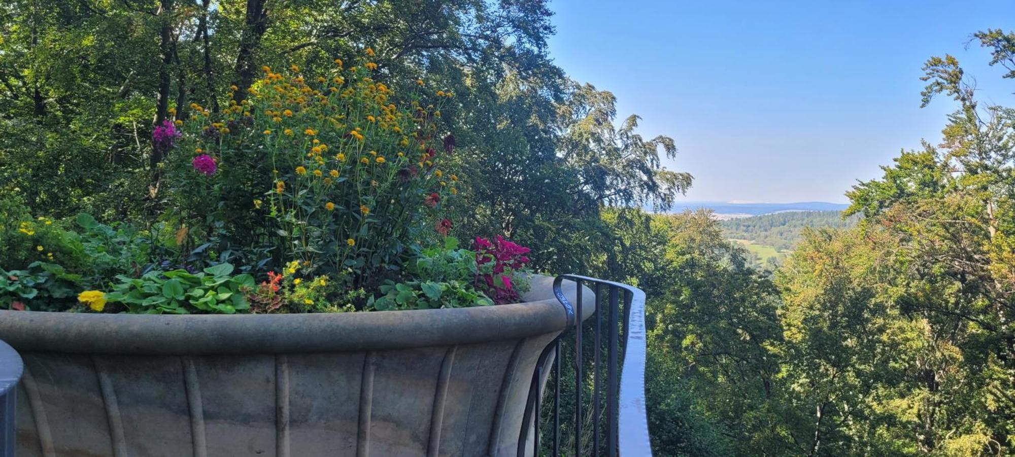 Villa Charlotte باد ليبنستين المظهر الخارجي الصورة