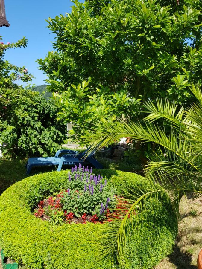 Villa Charlotte باد ليبنستين المظهر الخارجي الصورة